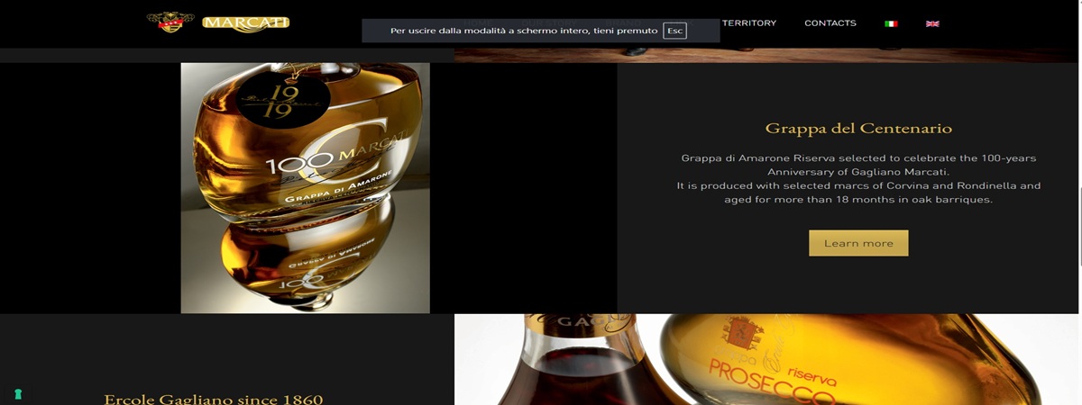 Header Background